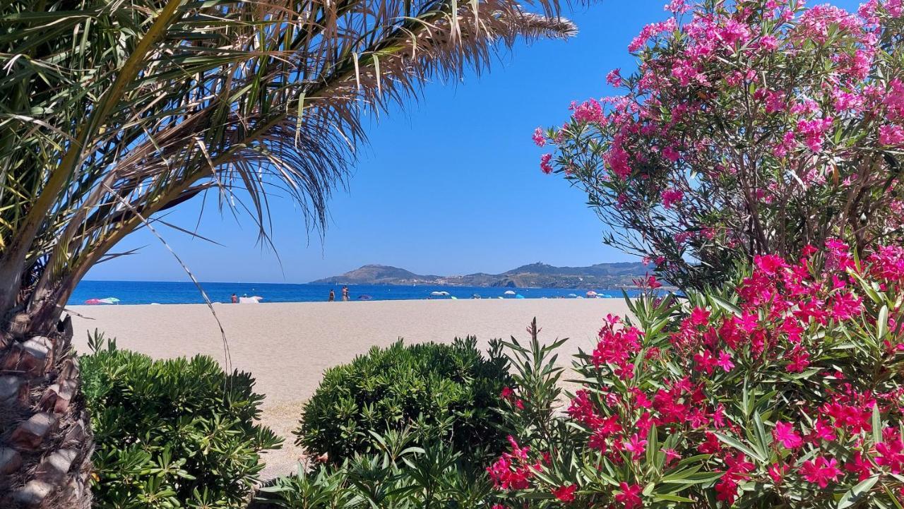 Sur La Plage, Super Studio Avec Vue Sur La Mer Plage dʼArgelès Zewnętrze zdjęcie